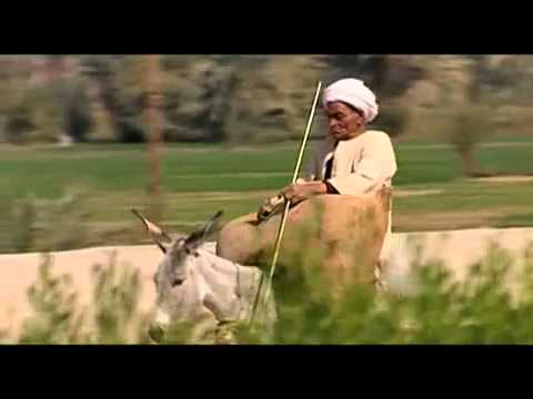 صباح الخير يا مصر عمرو مصطفى 