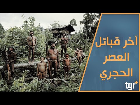 القبائل البدائية، آخر بقايا مجتمعات العصر الحجري 