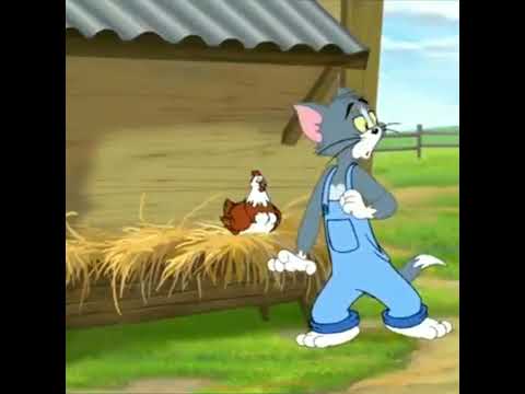 Tom Jerry كرتون القط والفار توم وجيري 1 