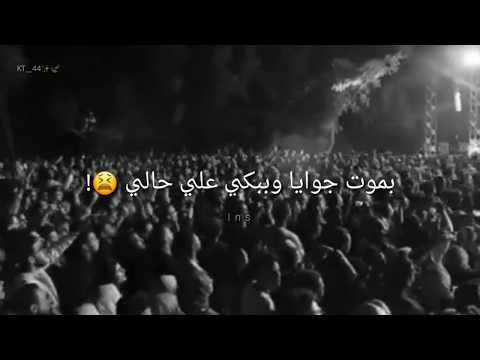 قولي له يا سماح، تفاعل الجمهور مع تامر عاشور ليس أقل من رائع 