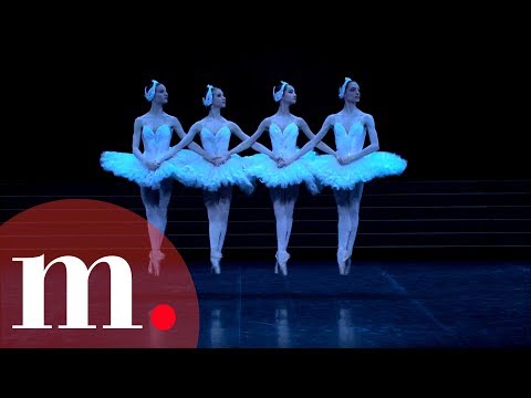 Swan Lake Tchaikovsky Dance Of The Little Swans 