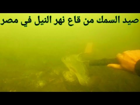 وجدت في قاع نهر النيل اشياء غريبه عندما كنت اقوم بصيد الاسماك الكبيرة بطريقة الغوص الحر Fishing 