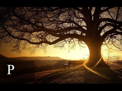 The Good Is Still Here لا يزال الخير حيآ ツ Beautiful Nasheed ᴴᴰ 