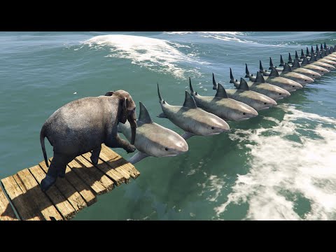 الفيل يمشي فوق جسر أسماك القرش قراند 5 GTA V Elephant Walks Over A Shark Bridge 