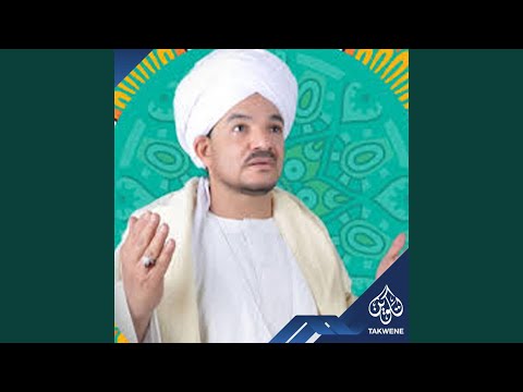 ريحانة المدائن، الشيخ أمين الدشناوي، شريط الدنمارك 