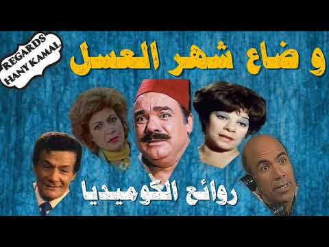 السهرة الكوميدية والمسلسلات الإذاعية وشهر العسل الضائع 