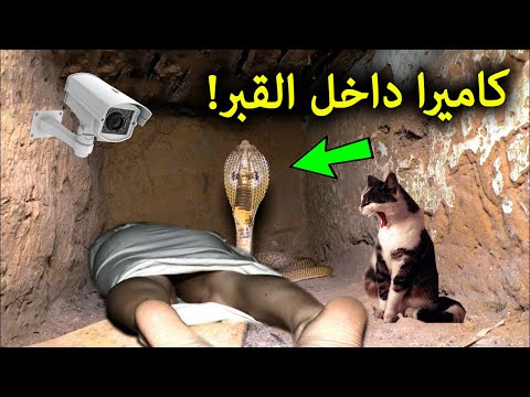 علماء من السعودية وضعوا كاميرا في قبر رجل مسلم. لن تصدق ماذا وجدوا إنها معجزة عظيمة سبحان الله 