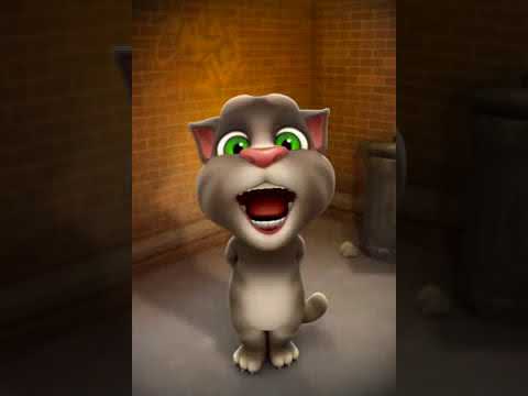 اغنية عيد ميلاد رووعه القط توم Talking Tom Happy Birthday Song 