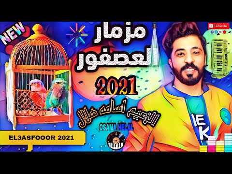 مزمار العصفور الثاني يا ياسر اسمع عمي الثاني بطريقة مختلفة تماما الثاني الزعيم أسامة هلال الثاني جديد 2021 