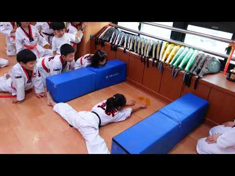 تدريب مرونة الدومينو TATOOL TAEKWONDO 