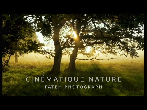 Cinématique Nature بدون موسيقى مؤثرات صوتية 