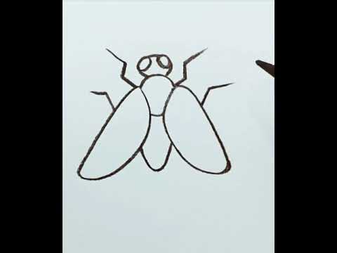 رسم ذبابة 