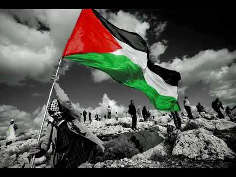 اغاني الثورة الفلسطينية اقدم واوضح نسخة 