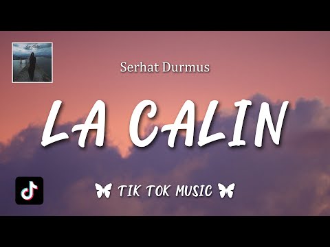 Serhat Durmus La Câlin Lyrics English Translation 