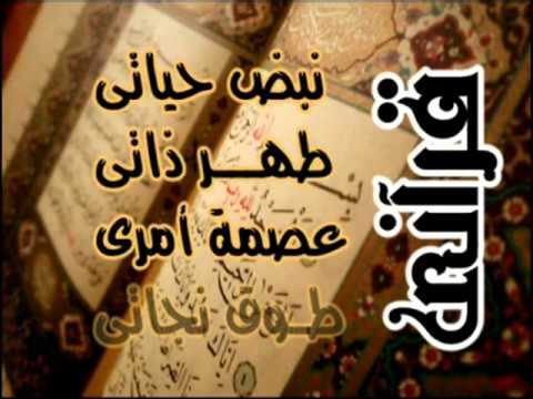 قراني نبض حياتي Wmv 