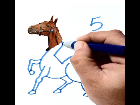 تحويل رقم 5 الى حصان رسم حصان بطريقة سهله How To Draw Horse Pony From Number 5 Shorts 