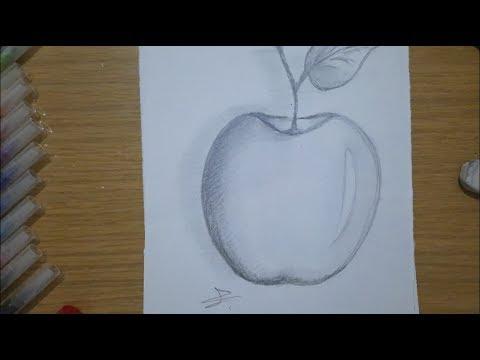 تعلم رسم تفاحة بقلم الرصاصLearn To Draw An Apple In Pencil 