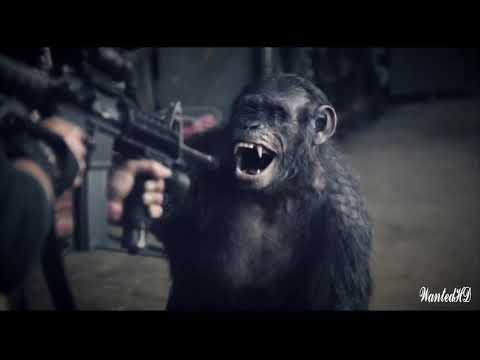 فيلم الاكشن القتال القرود 