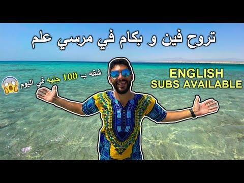 مرسي علم تروح فين و بكام تكاليف السكن الرحلات والمواصلات Marsa Alam Egypt 